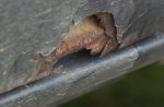 DSC_0047.jpg