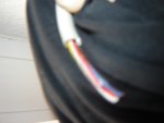DSC06246.JPG
