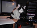 DSCN0395.jpg