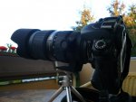 Sigma 70-200 EX 1.jpg
