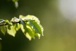 comp_IMG_0020.jpg