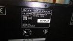 DSC00346.jpg