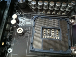 image-1137863192.png