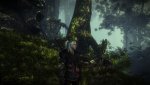 witcher2 2012-04-22 20-13-31-06.jpg