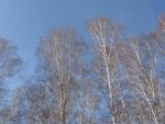 Bild 162.jpg