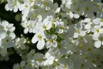 DSC03682_900.jpg