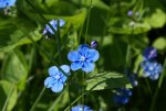DSC03683.jpg