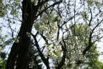 DSC03688.jpg