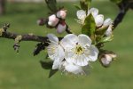 IMG_7659.JPG