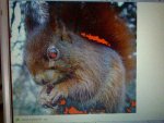 IMG-20120429-WA0000.jpg