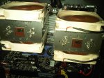 IMG-20120429-00011.jpg