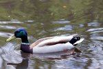 IMG_7900_nb_klein.jpg