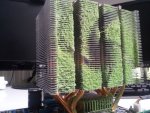 20120502_090921.jpg