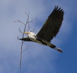 IMG_7679.jpg