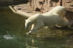 IMG_7828.jpg