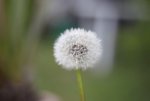 IMG_6846.jpg