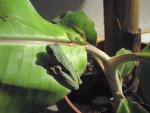 DSC01173.jpg