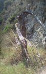 DSC01238.JPG