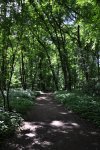 DSC_0076.jpg