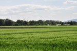DSC_0136.jpg