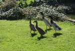 DSC03684_900.jpg
