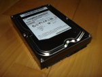 DSC07535.jpg