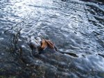 IMG_3691-Bearbeitet-Bearbeitet.jpg