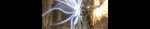 Diablo III 2012-05-21 19-18-11-33.jpg