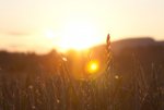 IMG_1995.jpg
