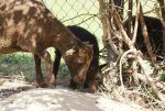 DSC03761_900.jpg
