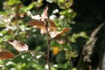 DSC03795_900.jpg