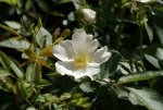 DSC03793_900.jpg