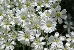 DSC03794_900.jpg