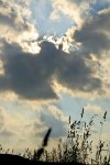 PK5_5923.jpg