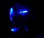 DSCI0573.JPG