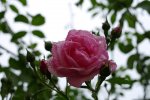 PK5_6009.jpg