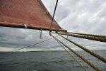 _DSC0158k.jpg