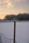 046v2.jpg