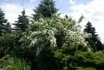 DSC03832_900.jpg