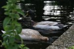 DSC03846_900.jpg