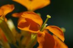 PK5_6566.jpg