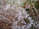 DSC04396.JPG