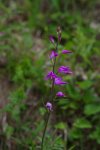 PK5_6908.jpg