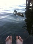 IMG_0958.jpg