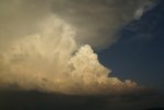 DSC04029_900.jpg