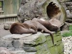 DSC00843.JPG