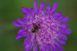 PK5_6956.jpg
