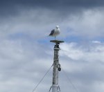 DSC04070_900.JPG