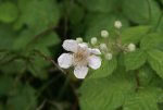 DSC04054_900.jpg