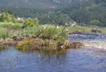 DSC04159_900.jpg